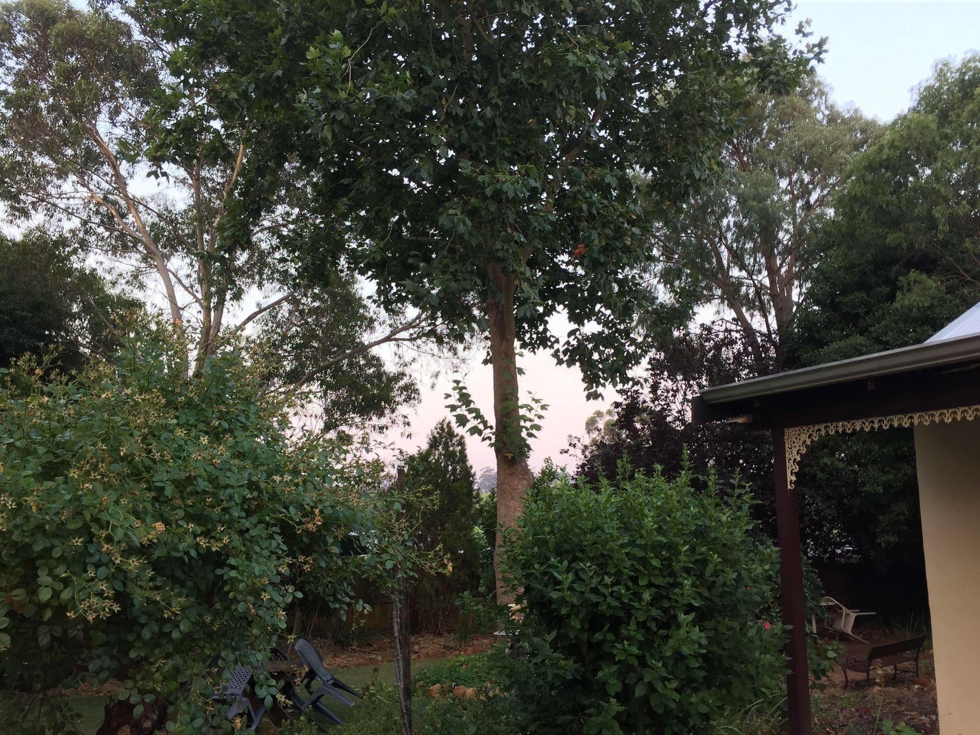 The Noble Grape Guesthouse Cowaramup Экстерьер фото